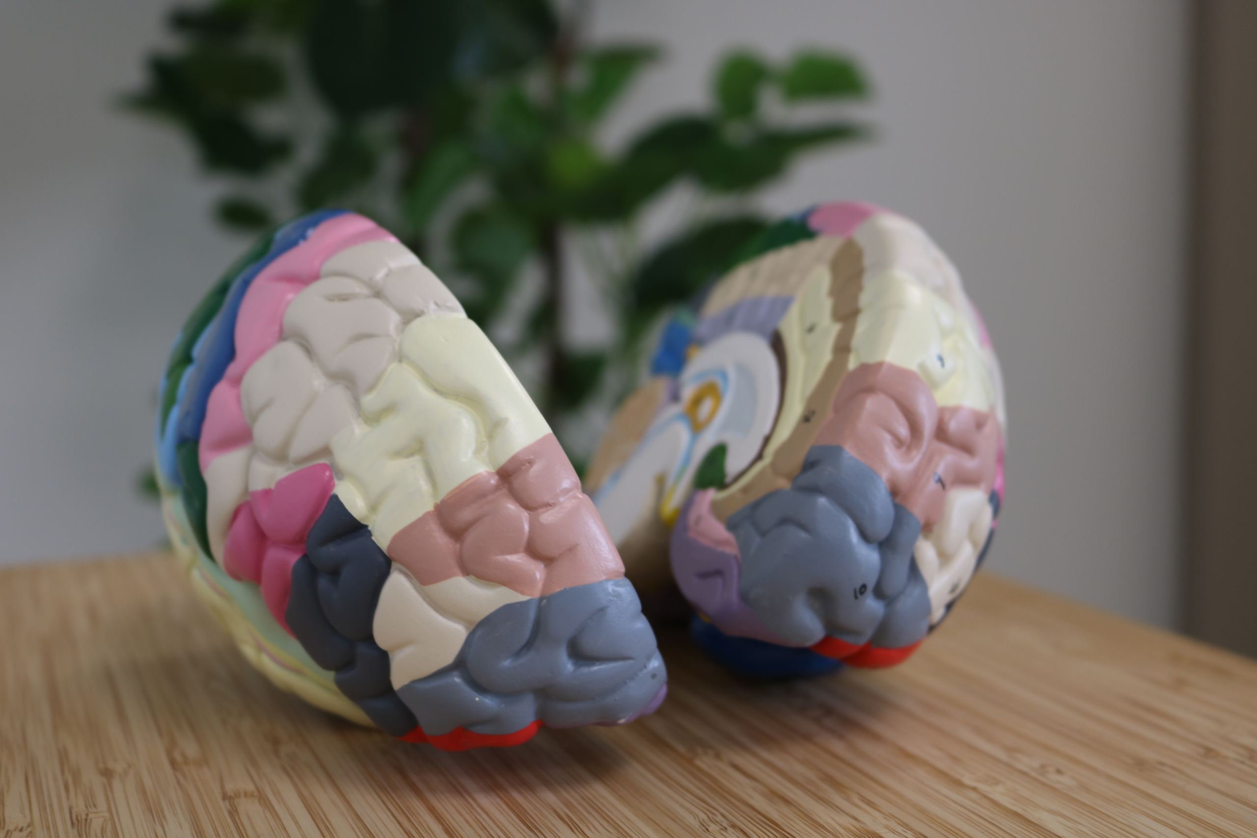 ADHD behandelen zonder medicatie