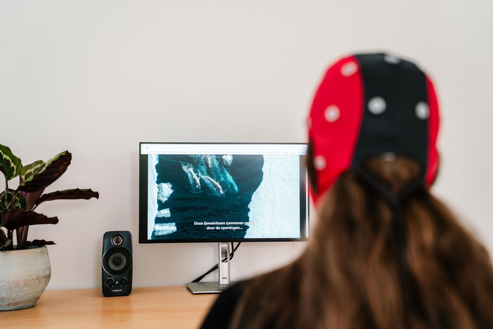 Behandelbare klachten neurofeedback